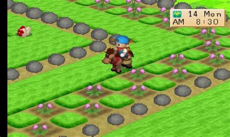 harvest moon back to nature mod apk